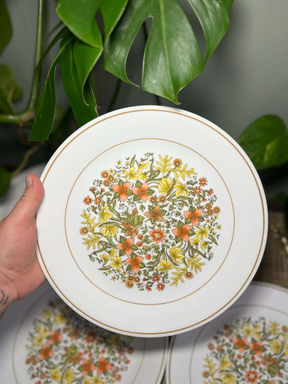 Set of 5 Vintage Corelle Indian Summer Floral Dinner Plates